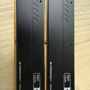 96GB(48Gx2) 램 ECC UDIMM DDR5 메모리 (하이닉스 다이 / 방열판 장착)