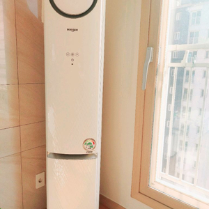 LG 휘센 인버터 스탠드형 에어컨