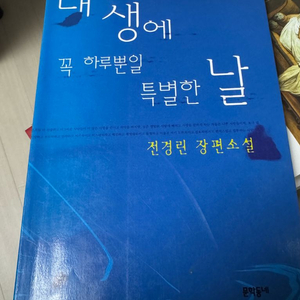 <내 생에 꼭 하루뿐일 특별한 날> 전경린 장편소설