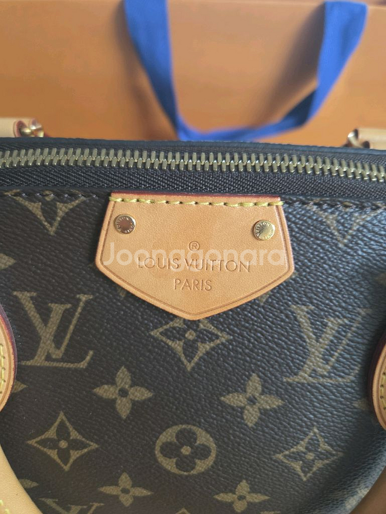 루이비통 튀렌느 pm--5