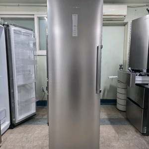 삼성 메탈 스탠드형 냉동고318리터