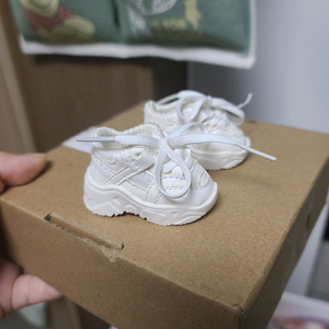 파올라레이나 신발