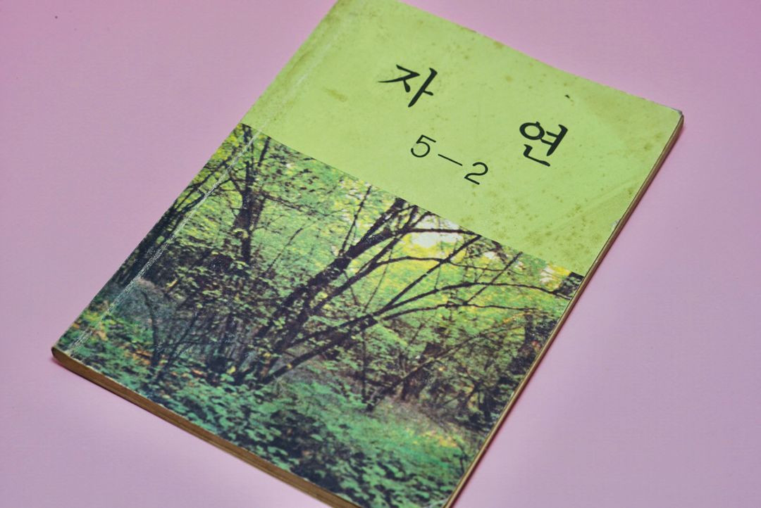 자연 5-2 옛날 국민학교 교과서 수집 고서 책 골동품 레트로 이미지