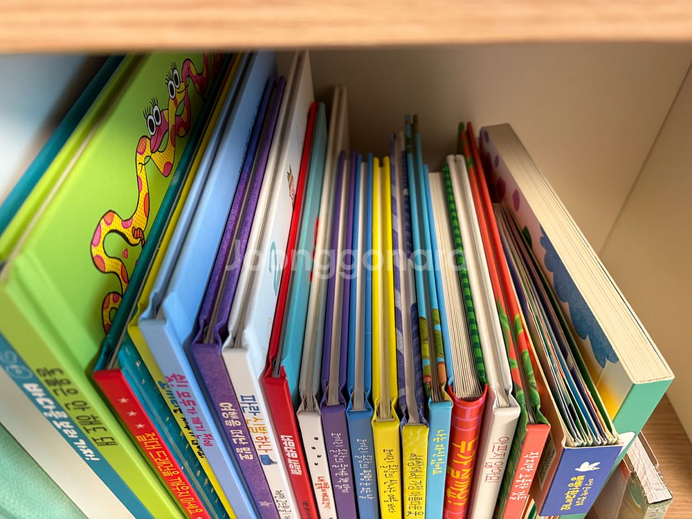 블루래빗토끼책방1호점--1