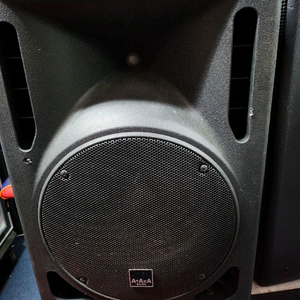 아타카 12인치 스피커,한통