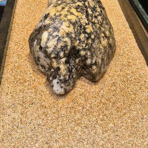 미사리22/10/15(좌대있음)