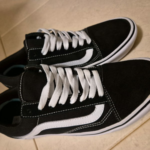 반스 컴피쿠시260 올드스쿨