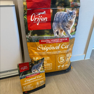 오리젠 캣 5kg+340g(미개봉)