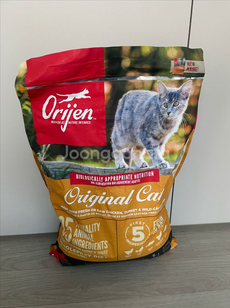 오리젠 캣 5kg+340g(미개봉)--1