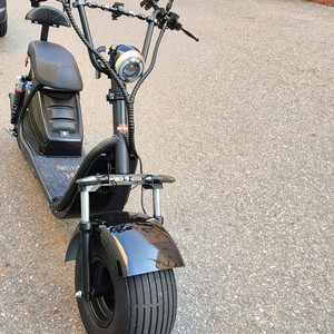 전기스쿠터 sp08gt신형거의새것 할리 전기 오토바이