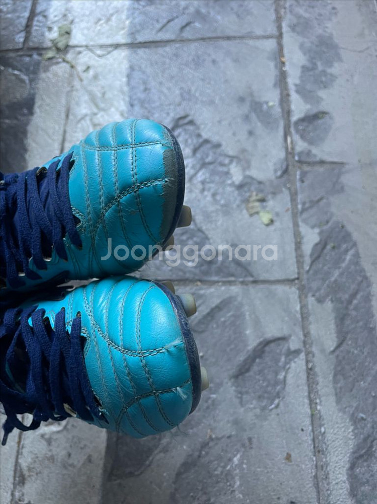 미즈노 모렐리아 네오 2 jpn 265--2