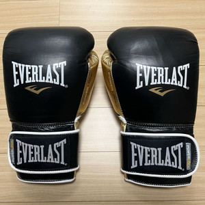 [새제품] [16온스] 에버라스트 파워락 트레이닝 복싱 글러브