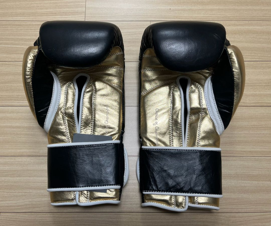 [새제품] [16온스] 에버라스트 파워락 트레이닝 복싱 글러브--1