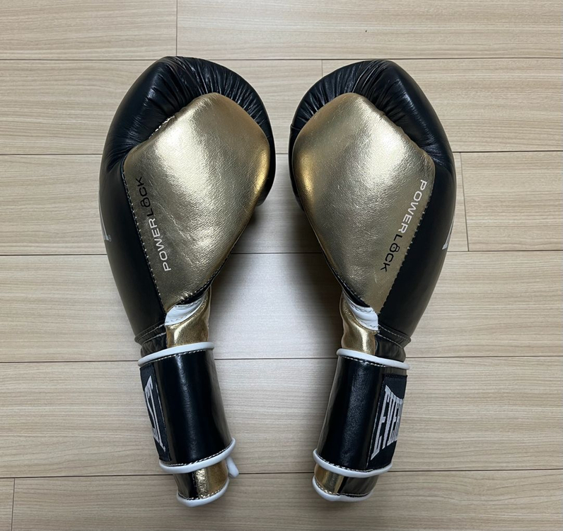 [새제품] [16온스] 에버라스트 파워락 트레이닝 복싱 글러브--2