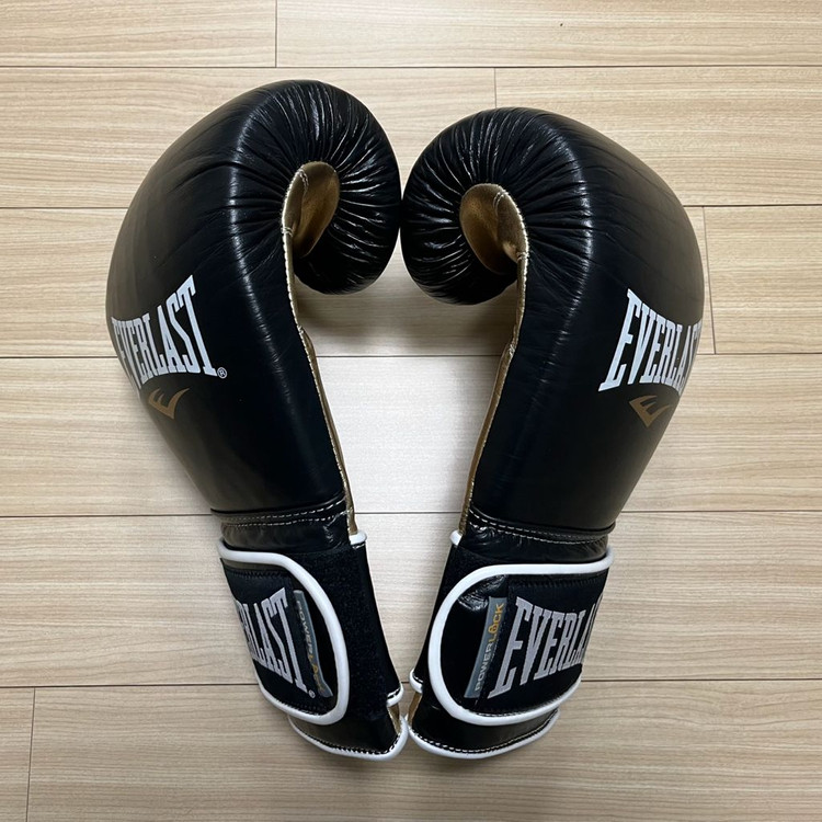 [새제품] [16온스] 에버라스트 파워락 트레이닝 복싱 글러브--3