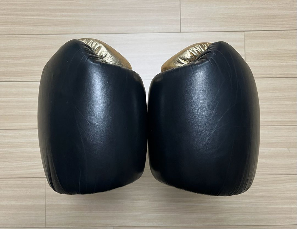 [새제품] [16온스] 에버라스트 파워락 트레이닝 복싱 글러브--4