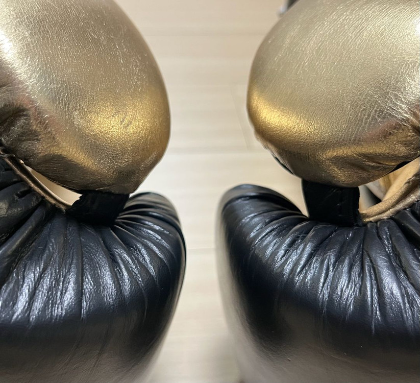 [새제품] [16온스] 에버라스트 파워락 트레이닝 복싱 글러브--5