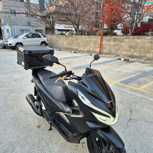 혼다 Pcx125 19년형 더뉴모델 배달셋팅 가성비 급매합니다 점검완