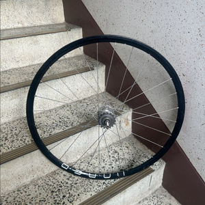 파간 픽시 휠셋 급처