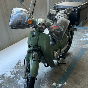 혼다 슈퍼커브 110 펄그린