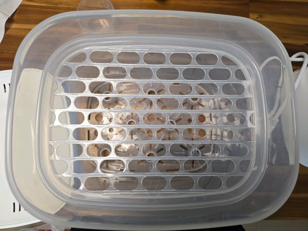 에르제 스팀소독기 젖병소독기--1