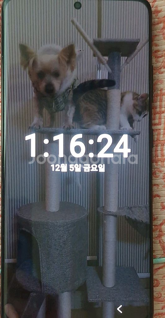 갤럭시 S21울트라--0