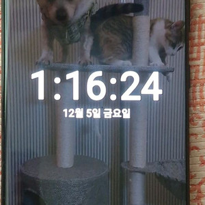 갤럭시 S21울트라