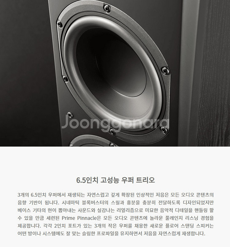 택배가능 (택포) 미국 SVS 프라임 피나클 톨보이 스피커--1