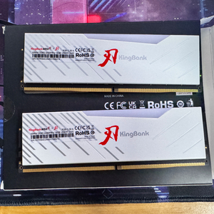 ddr5 킹뱅크 하이닉스 a다이 32