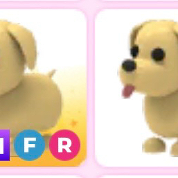 입양하세요 펫 팔아요! 이미지