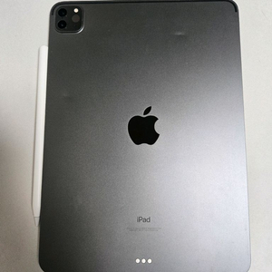 아이패드 프로 4세대 M1 11인치, 애플펜슬2