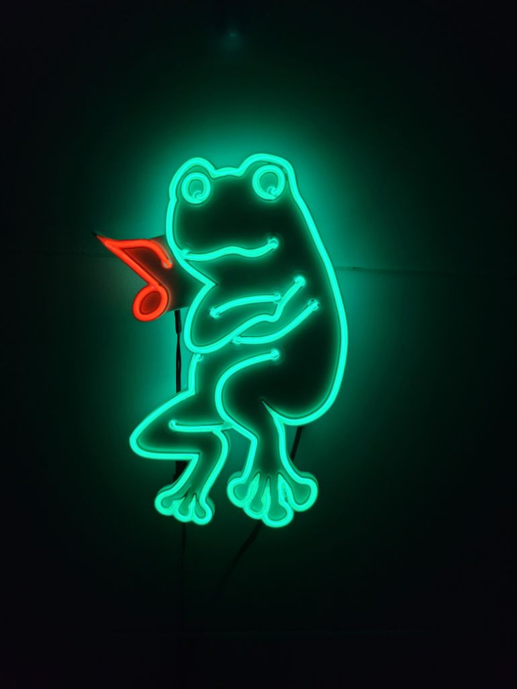 네온사인 개구리 뮤직 led 램프--1