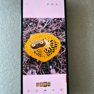 갤럭시 Z플립4 512GB 공기계