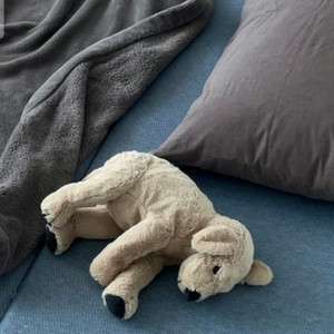 오늘의집토퍼겸메트리스