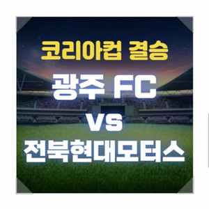 코리아컵 결승전 스카이박스