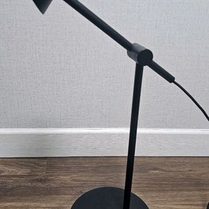 잭슨카멜레온 램프