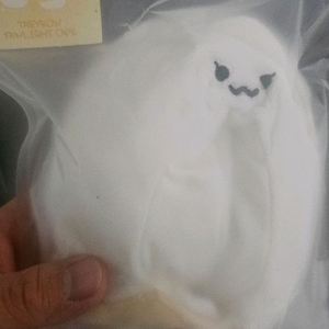 태연 응원봉 케이프