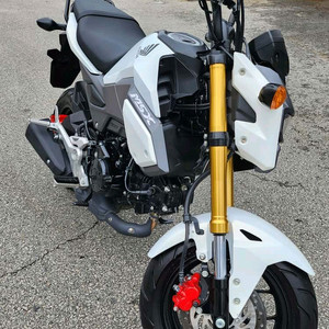 혼다 메뉴얼 입문바이크 MSX125