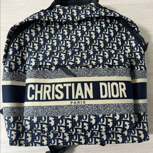 디올 오블리크 백팩