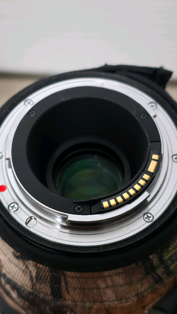 시그마S 150-600mm 캐논용--2