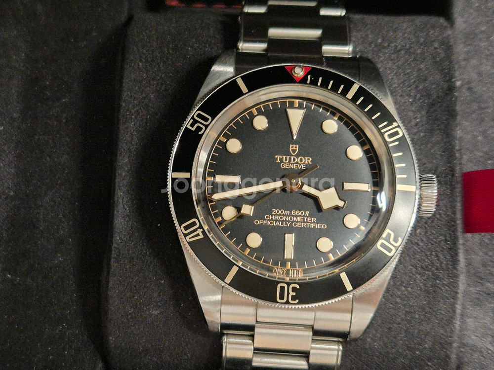 튜더 블랙베이58--4