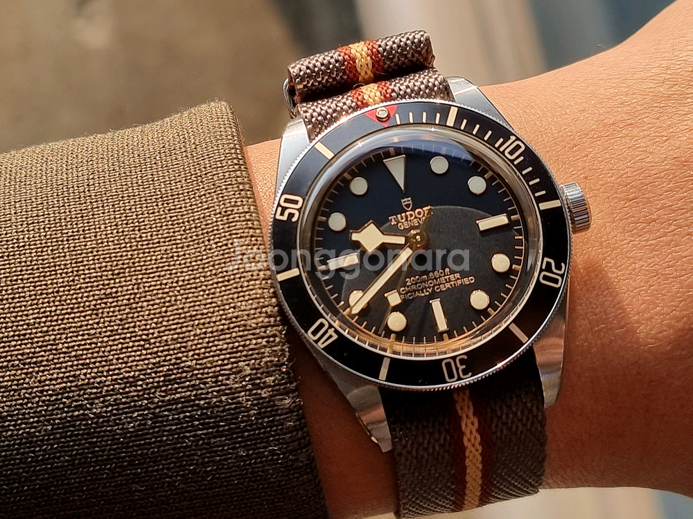 튜더 블랙베이58--8