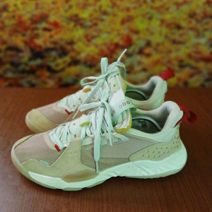 나이키 조던 델타비체타탄 270