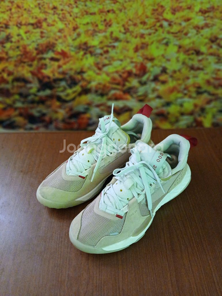 나이키 조던 델타비체타탄 270--1