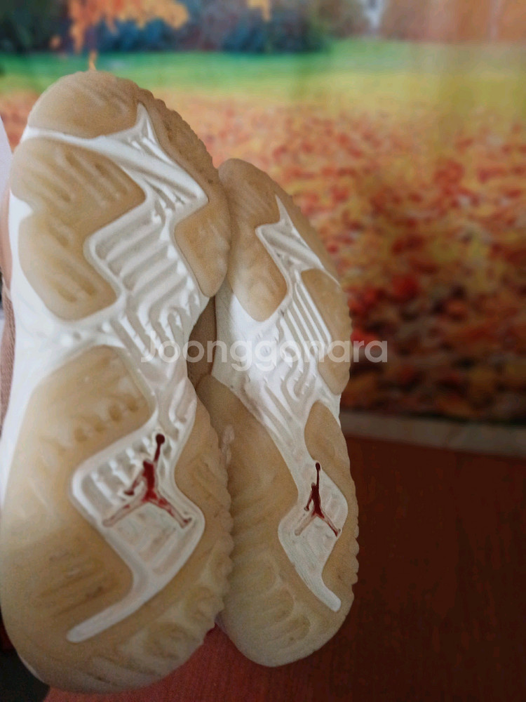 나이키 조던 델타비체타탄 270--5