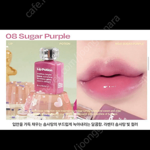 얼터너티브스테레오 립 포션 아쿠아 글로우 08슈가퍼플