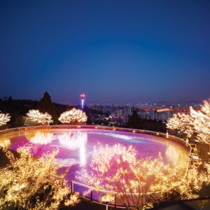 그랜드하얏트 서울 아이스링크 2인 이용권