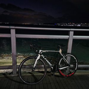 엘파마 R6800S 풀카본휠 울테그라