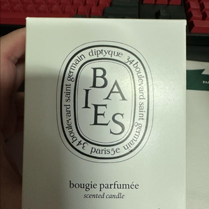 딥티크 베이 캔들 190g/롯백새제품