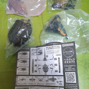 생물대도감 어드밴스 헤라클레스 셉텐 캡슐판